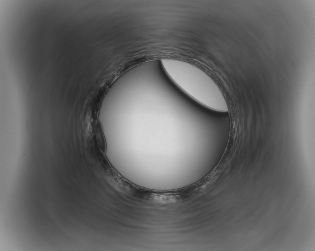 X0000116420520200912081202