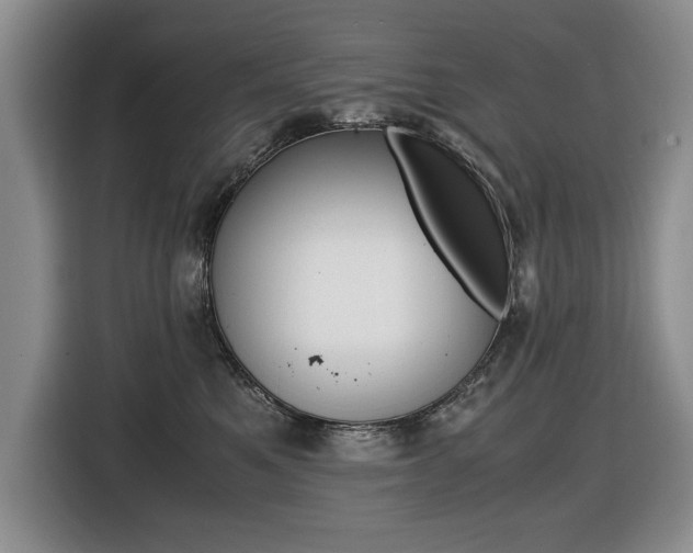 X0000116420521200912081202