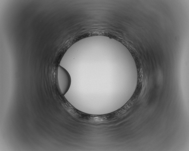 X0000116420522200912081202