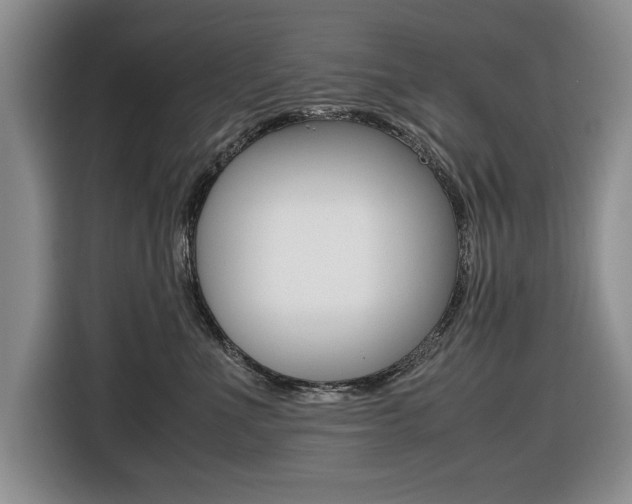 X0000116420523200912081202