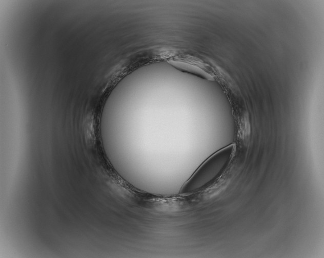 X0000116420524200912081202