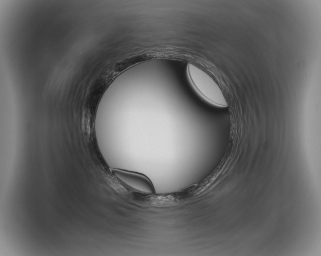 X0000116420525200912081202