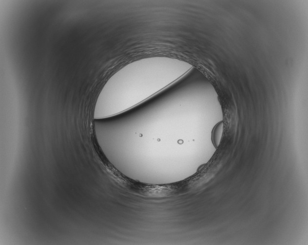 X0000116420527200912081202