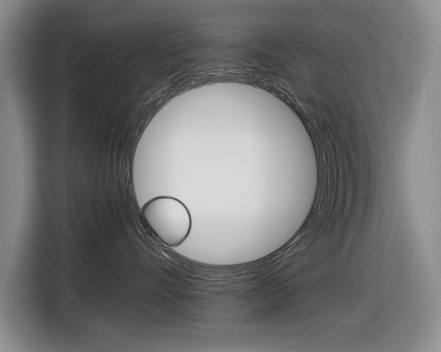 X0000116420528200912081202