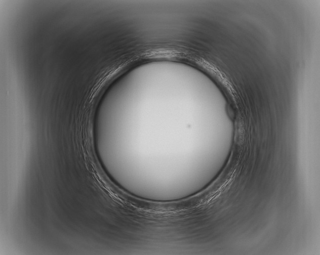 X0000116420529200912081202