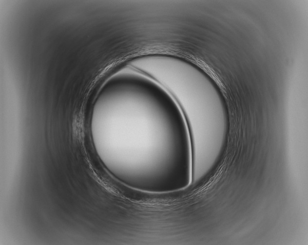 X0000116420530200912081202