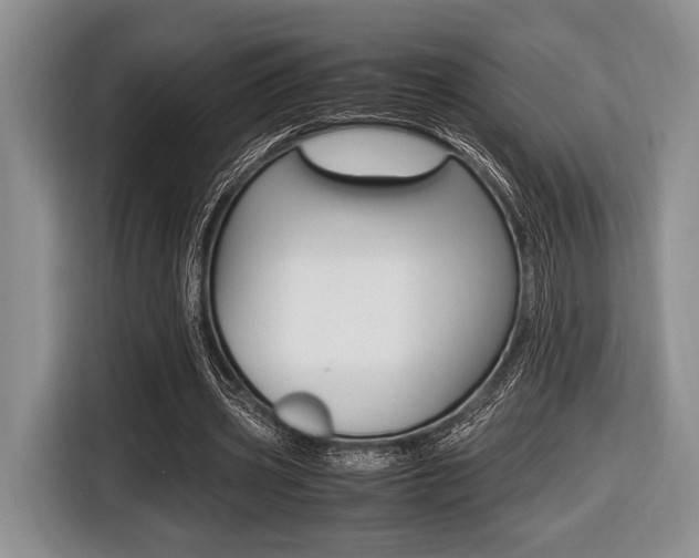 X0000116420533200912081202