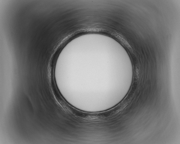 X0000116420534200912081202