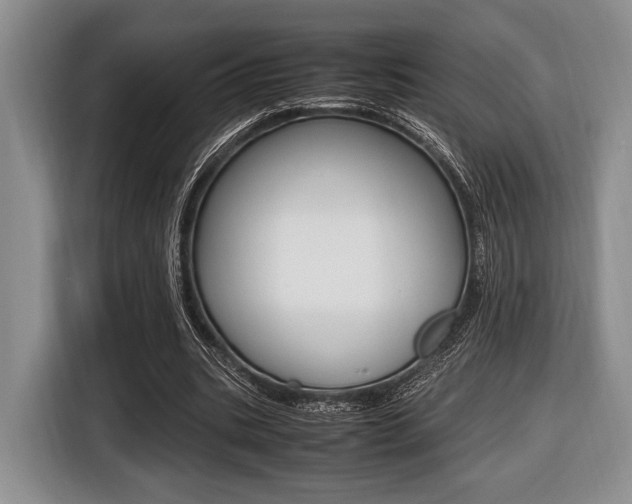 X0000116420535200912081202