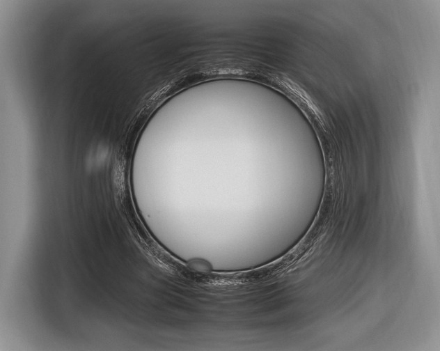 X0000116420537200912081202