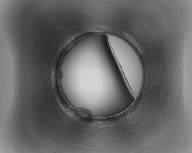 X0000116420538200912081202