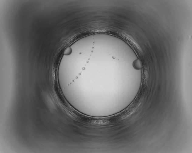 X0000116420541200912081202
