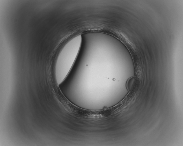 X0000116420543200912081202