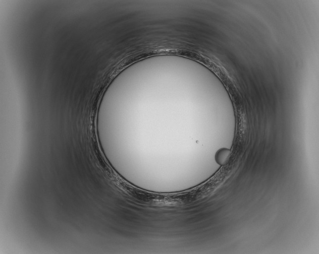 X0000116420545200912081202