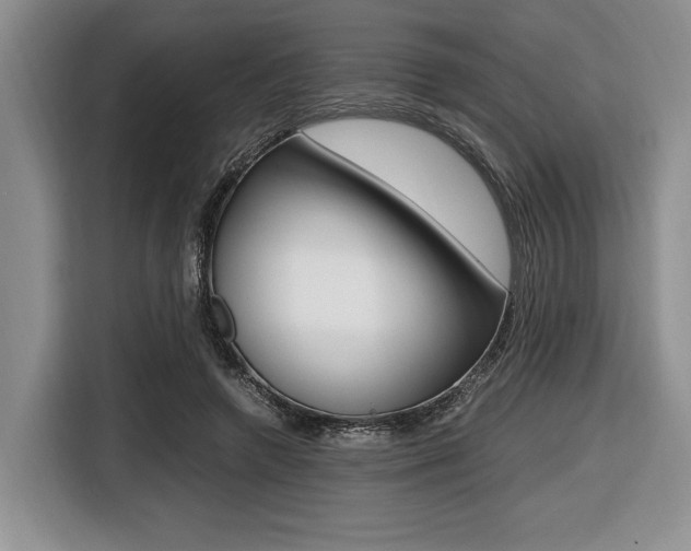 X0000116420546200912081202