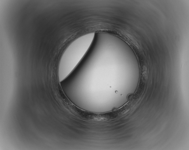 X0000116420547200912081202