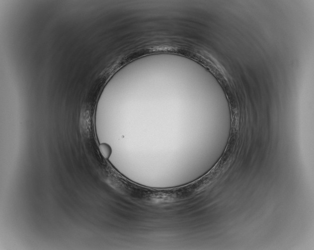 X0000116420549200912081202