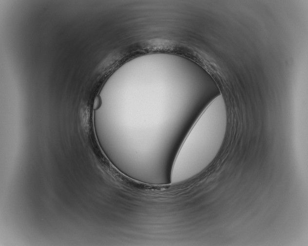 X0000116420550200912081202