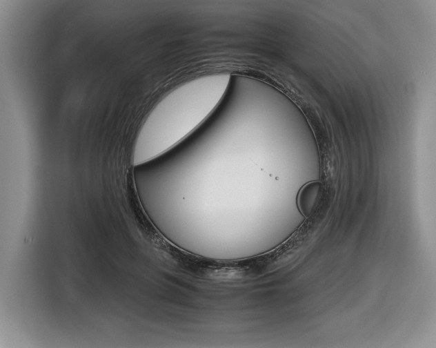 X0000116420551200912081202