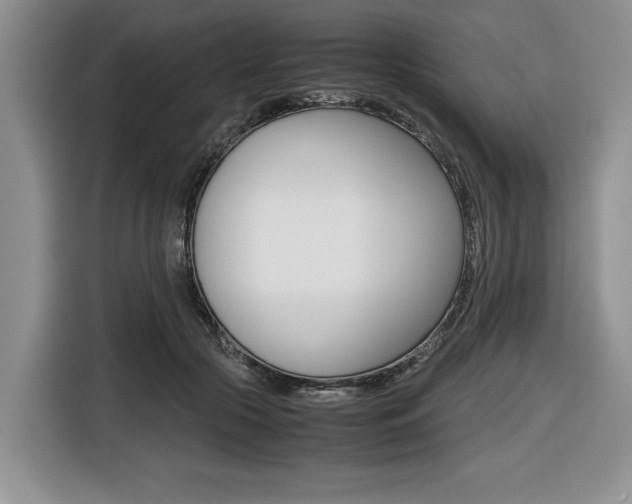 X0000116420553200912081202