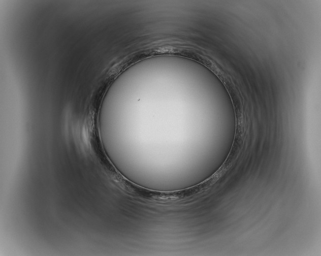 X0000116420554200912081202