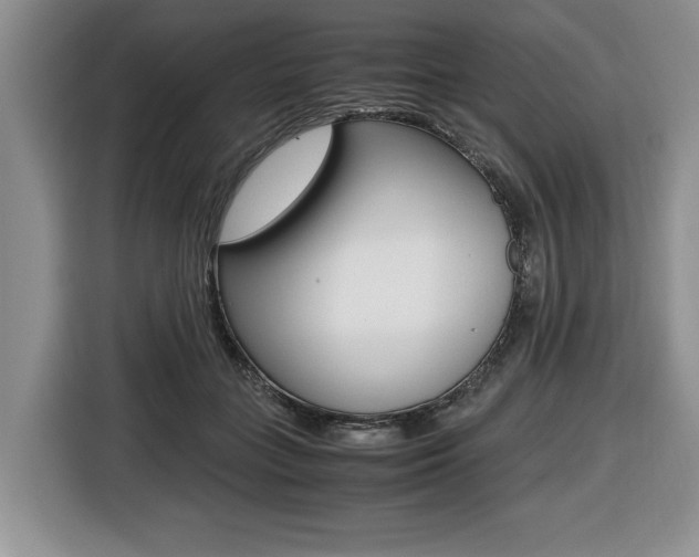X0000116420555200912081202