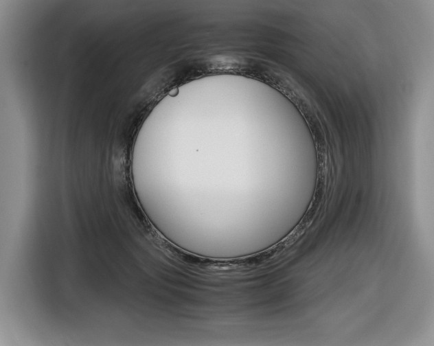 X0000116420557200912081202