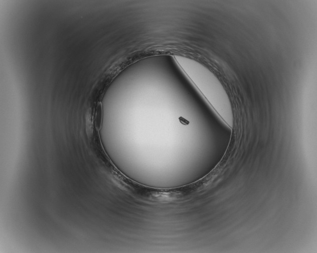 X0000116420558200912081202