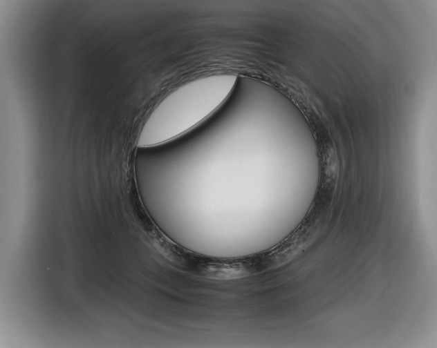 X0000116420559200912081202