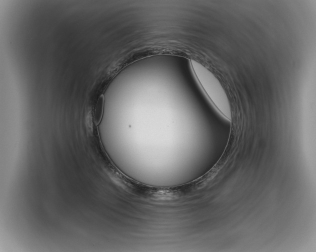 X0000116420562200912081202