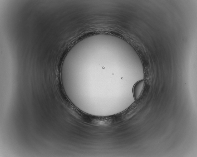 X0000116420563200912081202