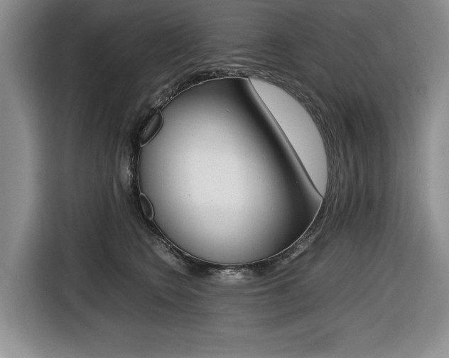 X0000116420566200912081202