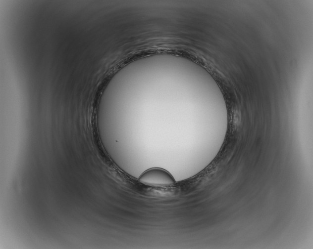 X0000116420567200912081202