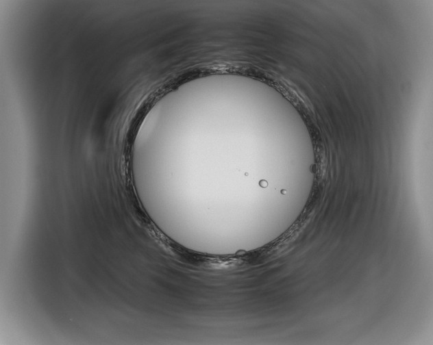 X0000116420569200912081202