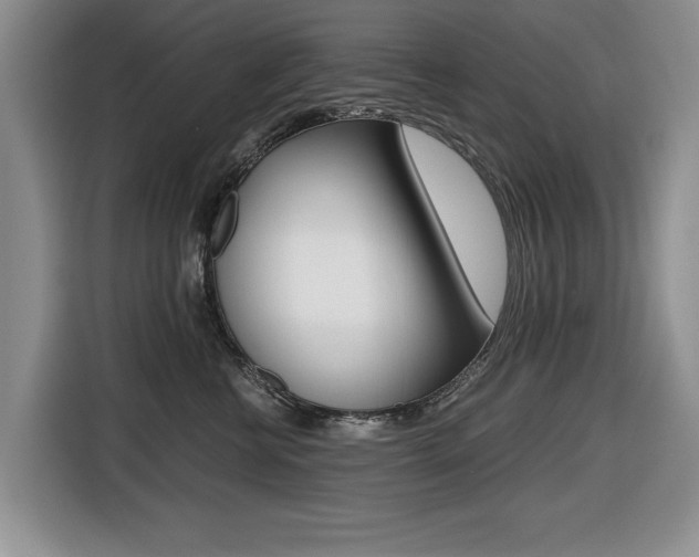 X0000116420570200912081202