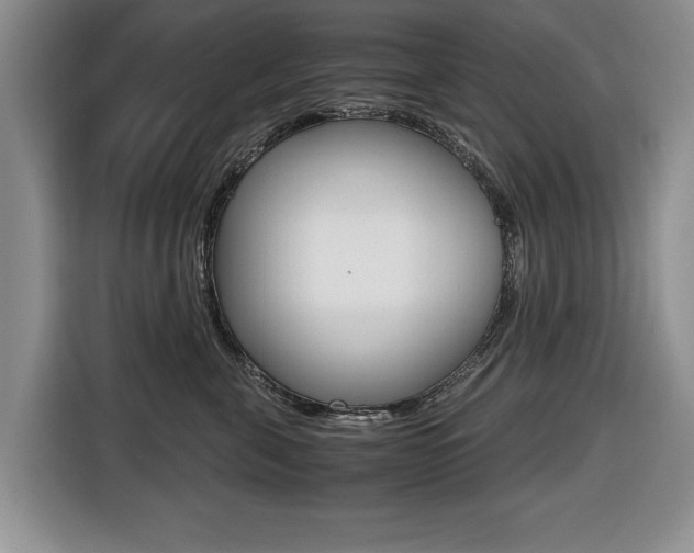 X0000116420571200912081202