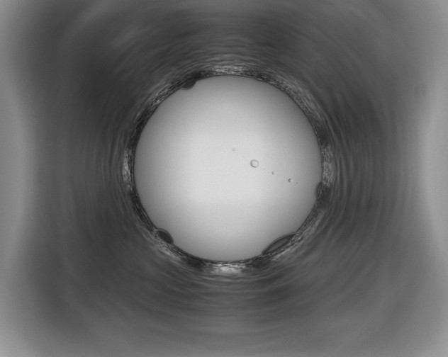 X0000116420573200912081202