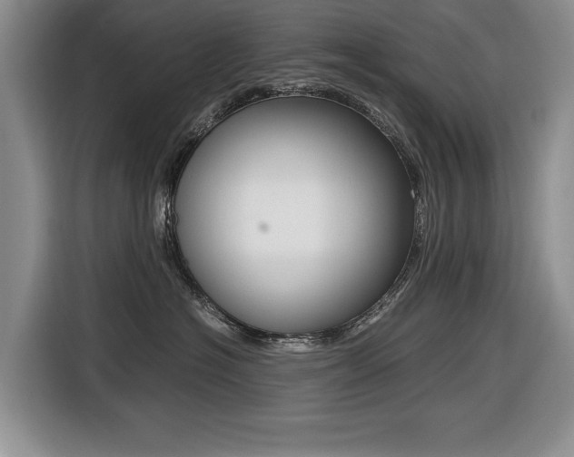 X0000116420574200912081202