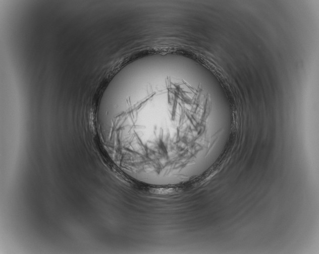 X0000116420575200912081202