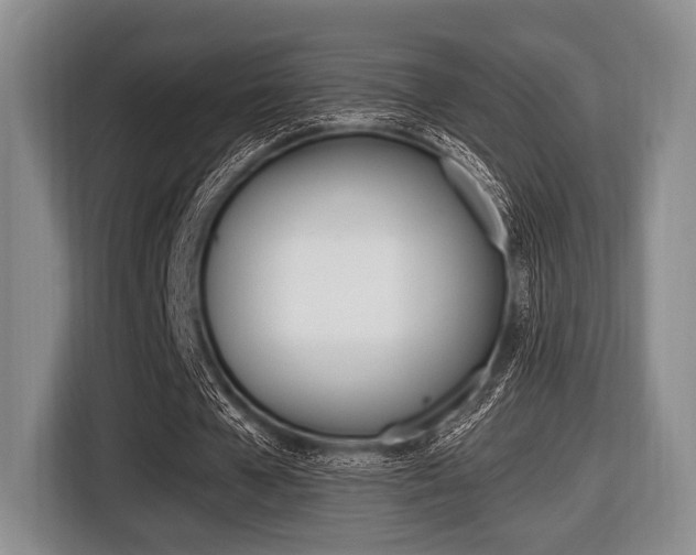 X0000116420577200912081202