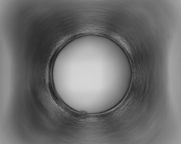 X0000116420578200912081202