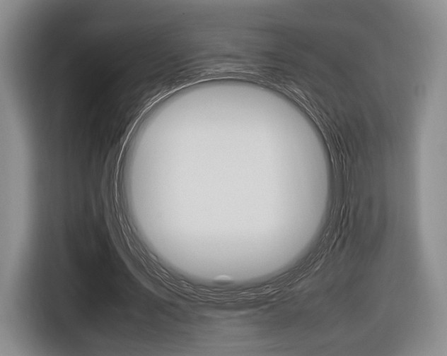 X0000116420579200912081202