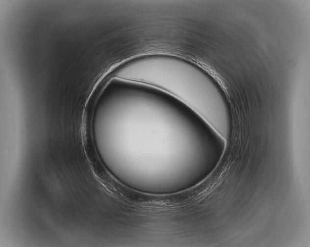 X0000116420580200912081201