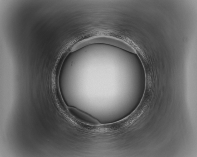 X0000116420581200912081201