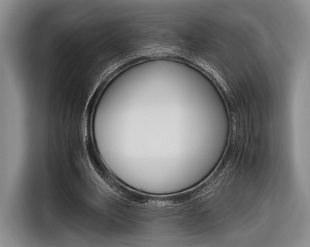 X0000116420582200912081201
