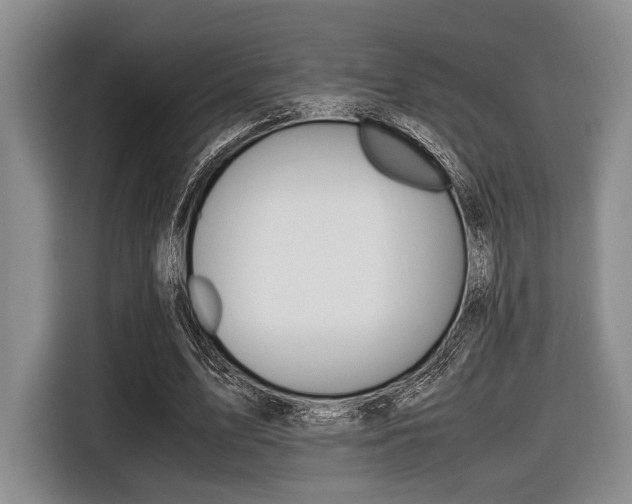 X0000116420583200912081201