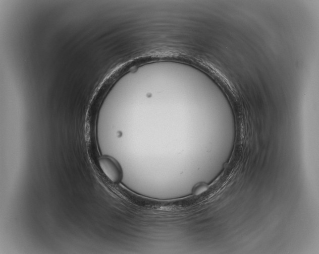 X0000116420584200912081201