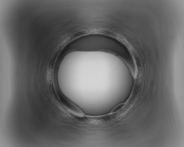X0000116420585200912081201