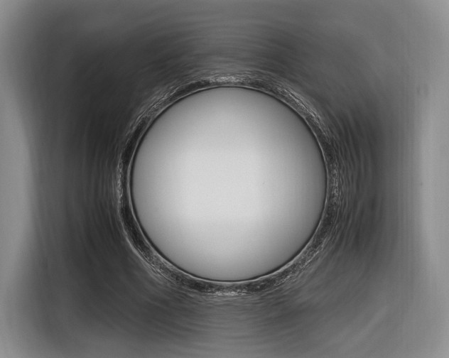 X0000116420586200912081201