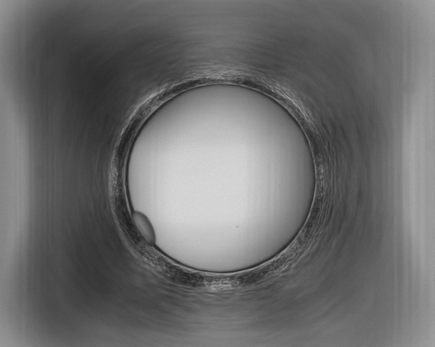 X0000116420587200912081201